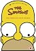 The Simpsons- Season 6 (Limited Edition Homer Boxset)