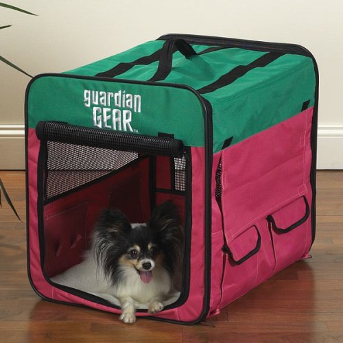 Guardian Gear Collapsible Small Dog Crate
