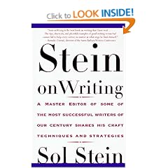 Stein on Writing: A Master Editor of Some of the Most Successful Writers of Our Century Shares His Craft Techniques and Strategies