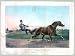 Celebrated pacing mare Pocahontas, driven by James McMann esq: Peforming her wonderful feat of pacing a mile in the unprecedented time of 2:171/2 in her match with Hero for mile heats to wagons over the union course, L.I. June 21st 1855 (Reprint measured in inches 24 x 18)