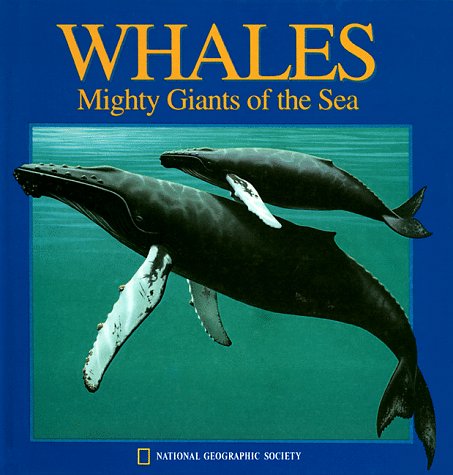 Pop-Up: Whales (National Geographic Action Book)