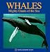 Pop-Up: Whales (National Geographic Action Book)