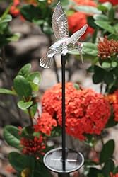 Smart Solar Chameleon Solar Light Stake, Hummingbird