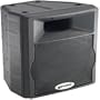 2-WAY Powered Abs Molded Speakers