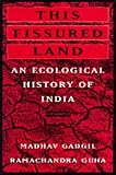This Fissured Land