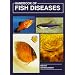 Aquarium Books
