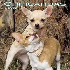 Chihuahuas Mini Wall Calendar: 2003