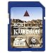 Kingston 8 GB Class 6 SDHC Flash Memory Card SD6/8GB
