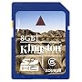Kingston 8 GB Class 6 SDHC Flash Memory Card SD6/8GB