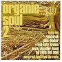 Organic Soul Vol.2: More Real Soul from the Roots