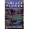Historical fiction for a high school history class #2