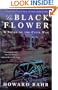 The Black Flower: A Novel of the Civil War