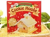 【お菓子の家が手作りできちゃう♪】クリスマスクッキーハウスセット【お菓子材料キット】【手作りキット】 ダウンロード