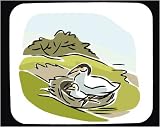 Decorated Mouse Pad with feeding, chick, nest, bird, animal