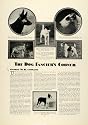 1930 Article Airedale Fox Terrier German Shepherd American Kennel Club Dogs - Original Print Article
