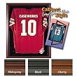 Tampa Bay Buccaneers NFL Standard Size Jersey Case