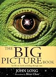 The Big Picture Book