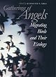 Gatherings of Angels: Migrating Birds and Their Ecology (Comstock Book)