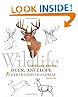 Wildlife Painting Basics: Deer, Antelope & Other Hooved Animals