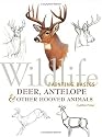 Deer, Antelope and Other Hooved Animals (Wildlife Painting Basics)