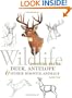 Wildlife Painting Basics: Deer, Antelope & Other Hooved Animals