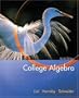 College Algebra (Lial/Hornsby/Schneider Series)