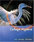 College Algebra (Lial/Hornsby/Schneider Series)