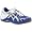 Royal/silver/white