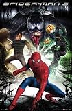 Spider-Man 3 (Villains) Movie Poster Print - 24