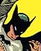 Books : Batman Complete History (Batman)