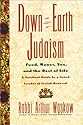 Down to Earth Judaism