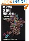Anatomy of Gene Regulation: A Three-dimensional Structural Analysis