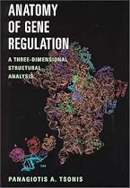 Anatomy of Gene Regulation: A Three-dimensional Structural Analysis
