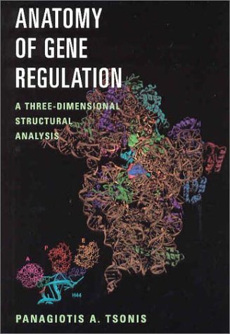 Anatomy of Gene Regulation: A Three-dimensional Structural Analysis