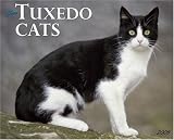 Just Tuxedo Cats 2009 Wall Calendar