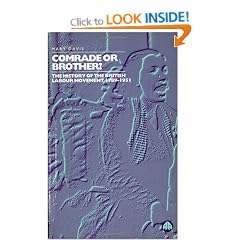 Comrade or Brother?: A History of the British Labour Movement