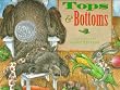 Tops & Bottoms (Caldecott Honor Book)
