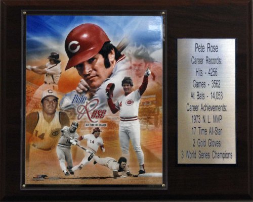 MLB Pete Rose Cincinnati Reds Career Stat Plaque