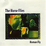 Human Fly