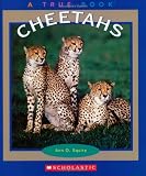 Cheetahs (True Books)