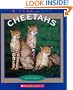 Cheetahs (True Books: Animals)