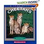 Cheetahs (True Books)