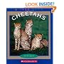 Cheetahs (True Books)