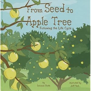 From Seed to Apple Tree: Following the Life Cycle (Amazing Science: Life Cycle)