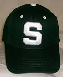 Michigan State Spartans Wool Team Color One Fit Hat
