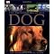 Best Dog Books