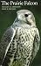 Book The Prairie Falcon (Corrie Herring Hooks Series)