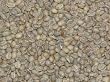 Guatemala Fair Trade Organic Green Coffee Beans - 5lbs