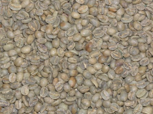 Guatemala Fair Trade Organic Green Coffee Beans - 5lbs