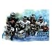Philadelphia Eagles (Donovan McNabb, Joe Mays, Trevor Laws, David Akers, Brian Dawkins, Lito Sheppard, Brian Westbrook) Music Poster Print - 13x19